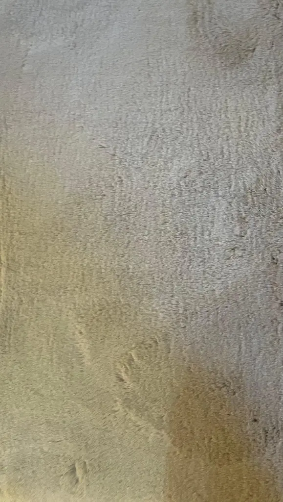 TAPIS Z PARCA 