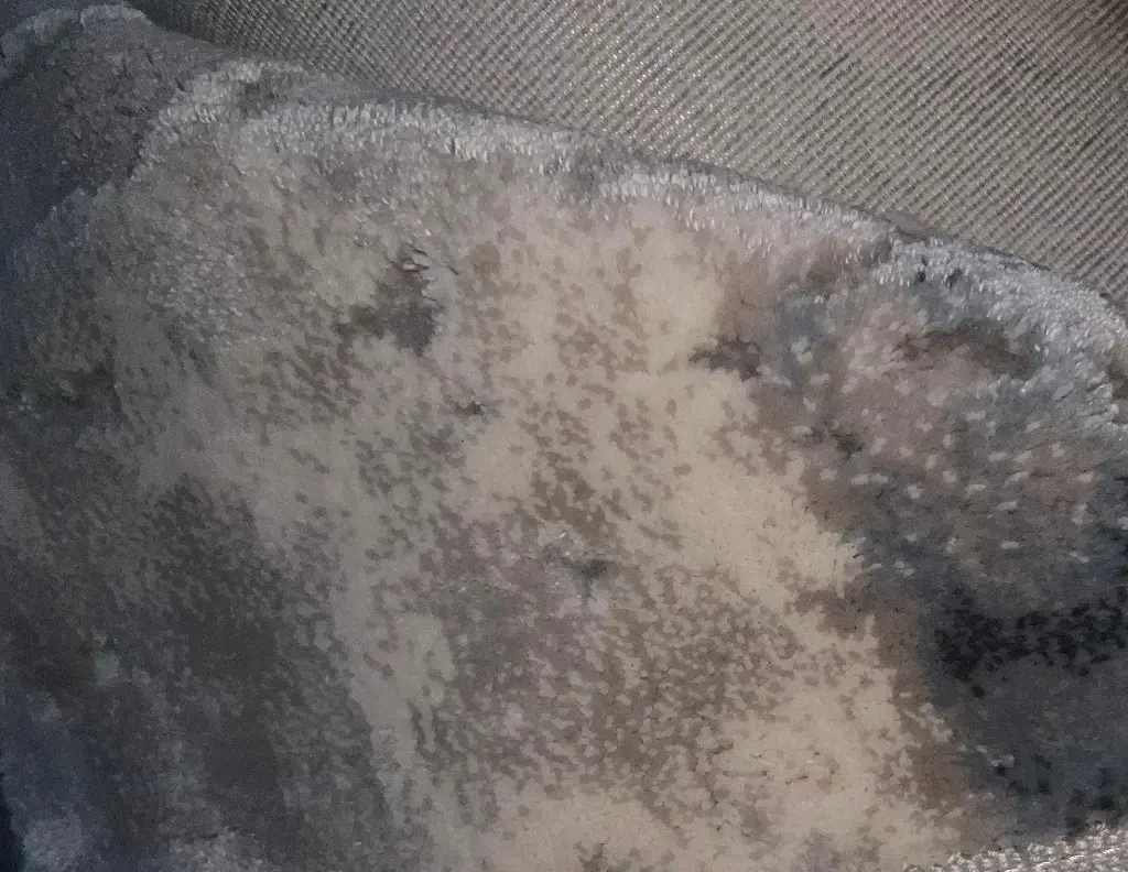 TAPIS ELECTRA+DIAMOND EXCELLENCE 