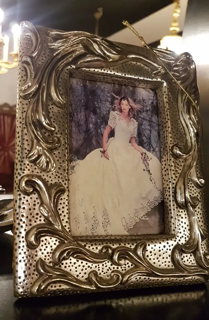 CADRE BORDEN AC 2119